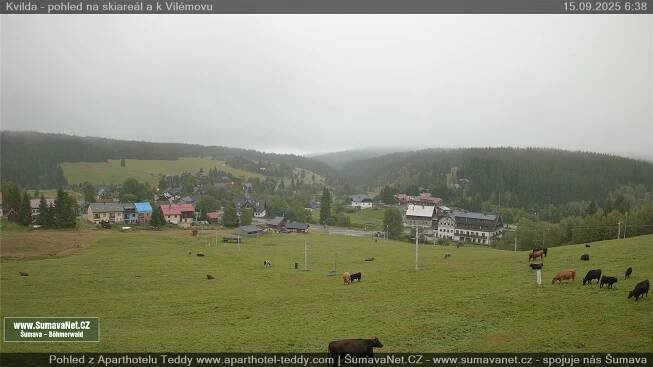 Kamery Šumava a Bavorský les -