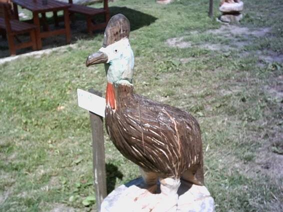 Galerie – První dřevěná ZOO – RH areál Ostrata