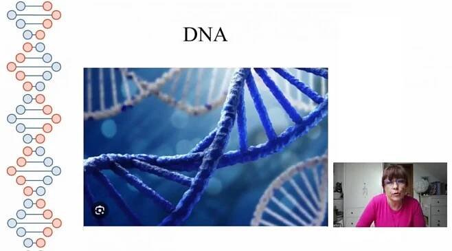BBC Advance - genetika a epigenetika