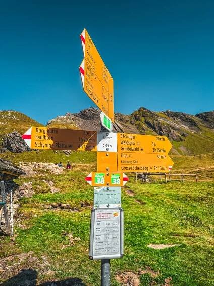 The beautiful Grindelwald First via Bachalpsee to Faulhorn hike | ever true life
