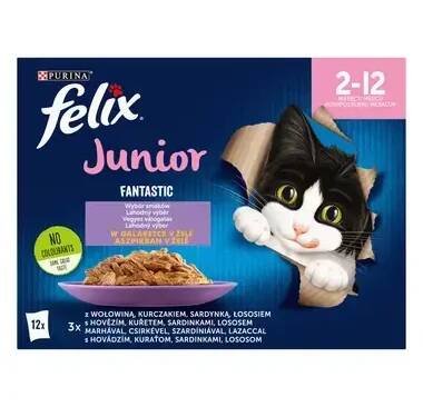 FELIX Fantastic Junior Multipack s hovězím, kuřecím, sardinkami, lososem v želé 12x85g