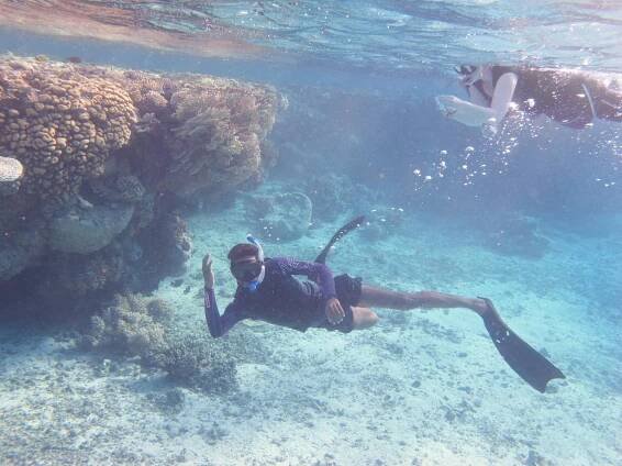 About Sataya Reef - Al Thuraya Red Sea
