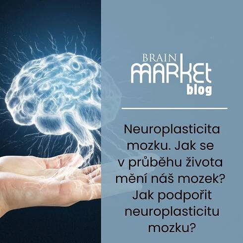 Neuroplasticita mozku. Jak se v průběhu života mění náš mozek? Jak podpořit neuroplasticitu mozku?