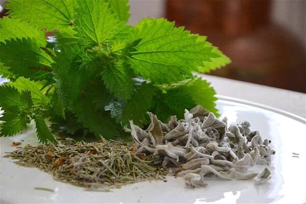 Nettle, Rosemary. Sage