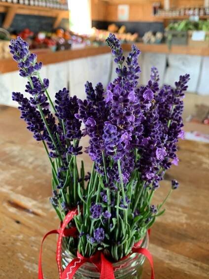 Photos — BASEHORE FARM MARKET