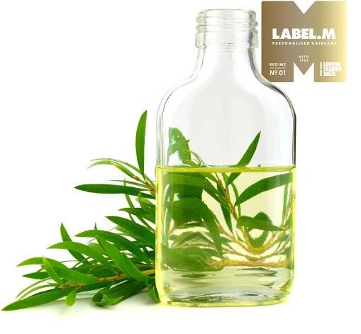 Tea Tree Oil