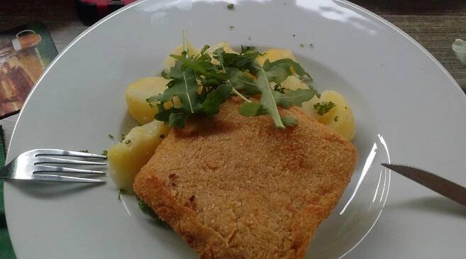 Smazenej syr