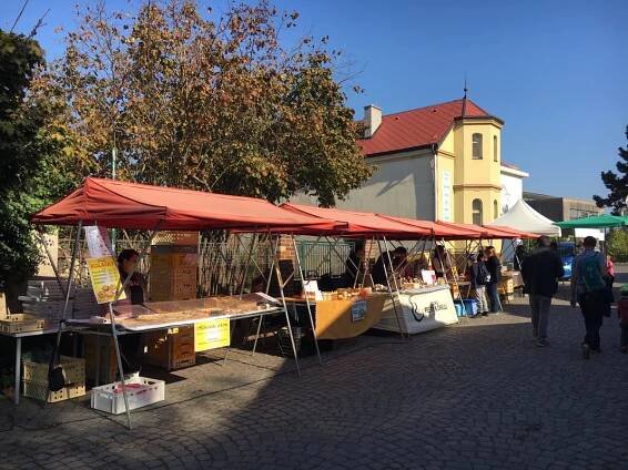 Fotogalerie - DOBŘICHOVICKÉ TRHY