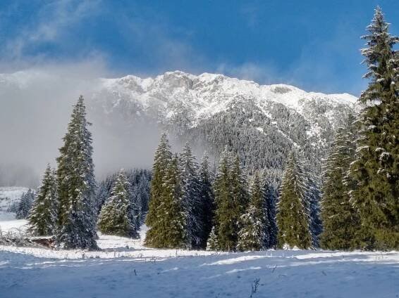 Piatra Craiului National Park winter hike