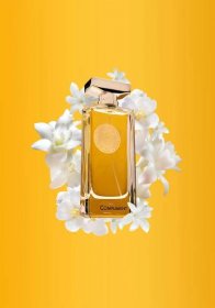 Compliment - Maison Violet 100ml | another beuatiful perfume by Perfume Lounge