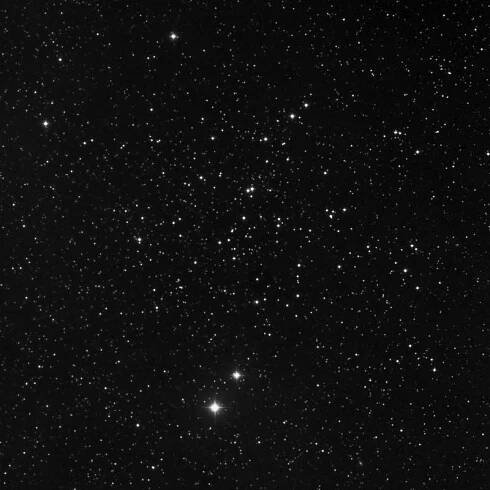 Hawaiian Astronomical Society - Taurus