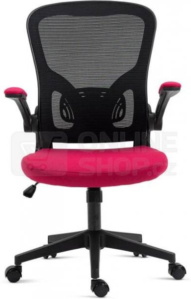 AUTRONIC4