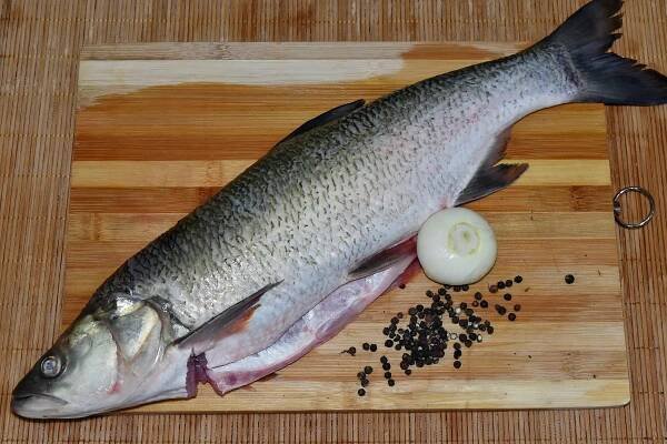Kostenlose Bild: Kochen, Fisch, Küchentisch, Meeresfrüchte, Holz, Natur, Essen, Ernährung, Abendessen, sehr lecker
