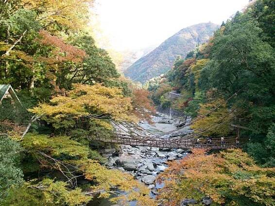 most kazurabashi/iya,tokušima,japonsko - iya valley - stock snímky, obrázky a fotky