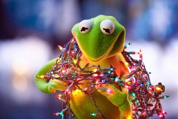 Kermit The Frog, 2015