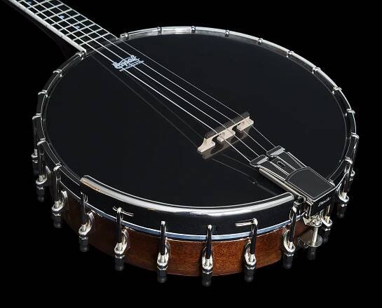 Brdské banjo | Čapek Instruments