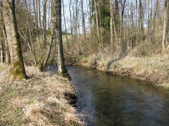 Schwarzach (Schussen)