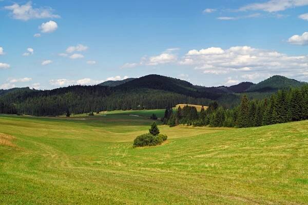 Pusté Pole (Telgárt)