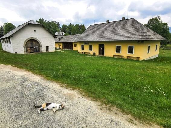 Prdka opäť oddychuje