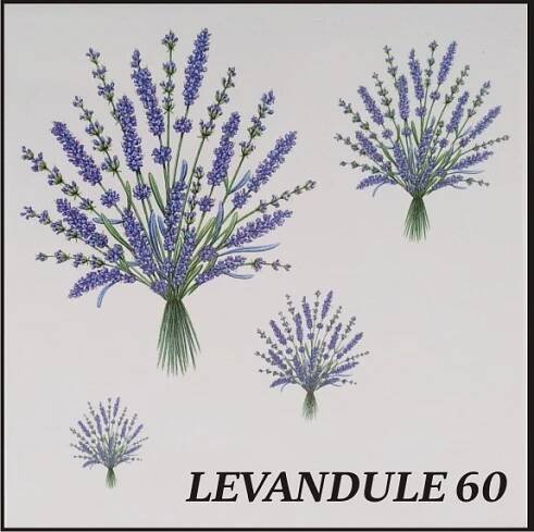 Levandule - 60