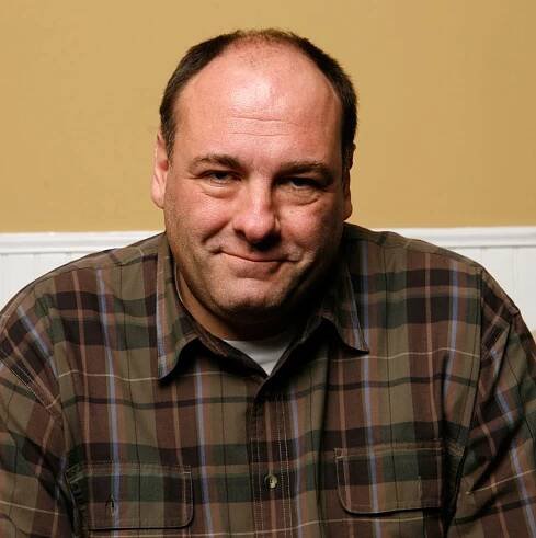 What The Sopranos Cast Said About James Gandolfini in Wise Guy