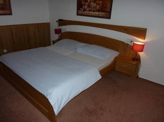 Postel nebo postele na pokoji v ubytování Hotel & Restaurant Na Fryštátské