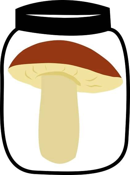 Klouzek obecný zavařený