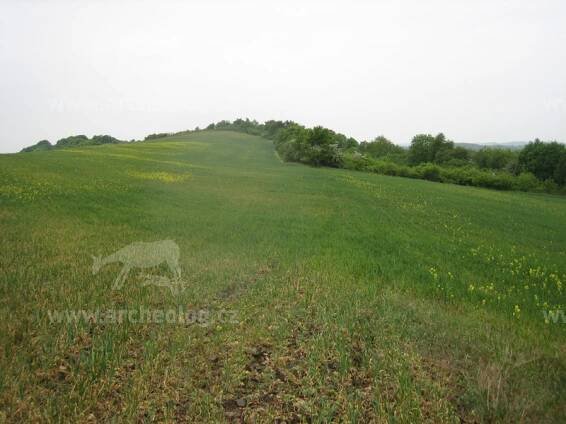 Stradonice, oppidum Hradiště - archeolog.cz