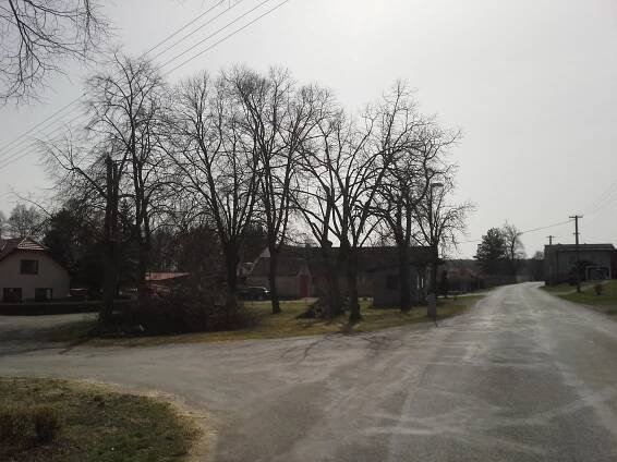 ořezání lip 2016 | Obec Litošice, okr. Pardubice