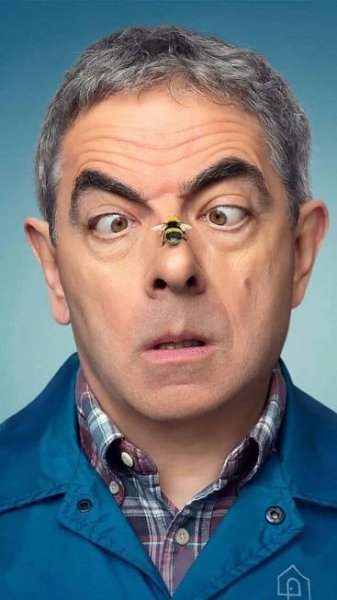 Rowan Atkinson Beeon Nose Wallpaper