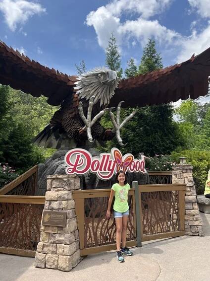 Dollywood Roller Coasters Ranked