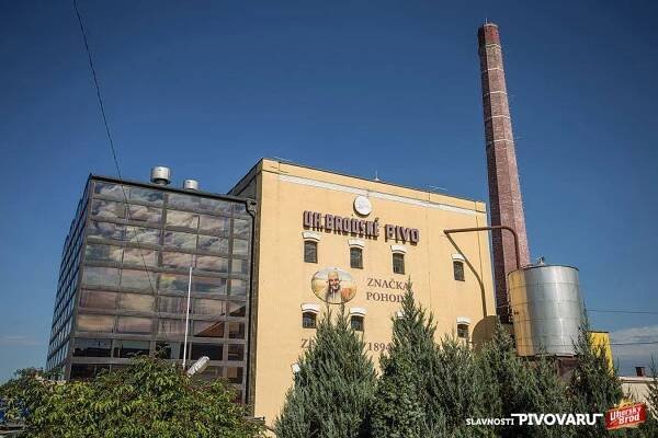 České pivo - České zlato