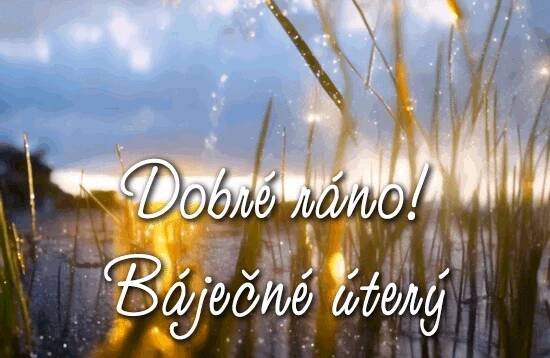 GIFy Dobré Ráno a Šťastné Úterý