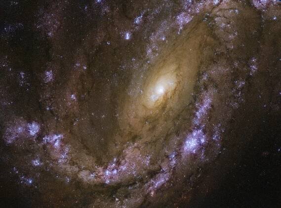 NGC 4051 - Wikipedia