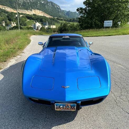 Image 1/24 of Chevrolet Corvette Stingray (1977)