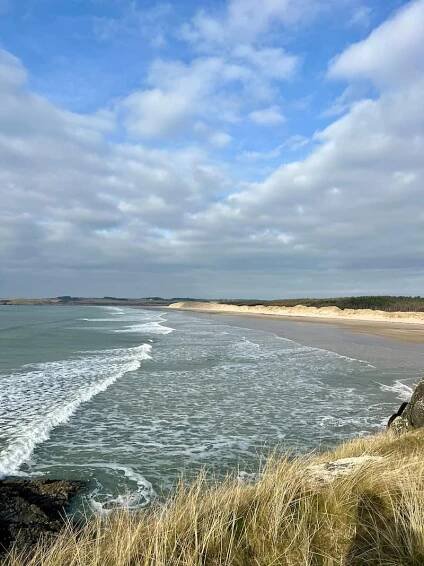 A sweeping view of the Anglesey coastline, with gentle waves rolling onto a vast sandy beach lined with golden dunes. The foreground features tufts of dune grass swaying in the breeze, while the open sky above is dotted with soft, wispy clouds. The scene captures the wild beauty and tranquility of the Welsh coast.