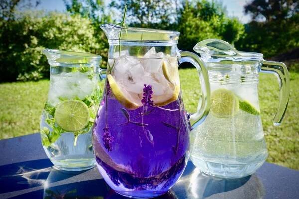 Bylinné sirupy na domácí limonády - levandulový, mátový, bezový – Snědeno.cz