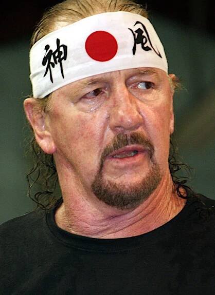 Soubor:Terry Funk September 2013 (cropped).jpg – Wikipedie