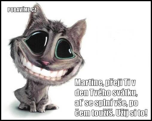 Přání k svátku pro Martina | Pobavime.cz
