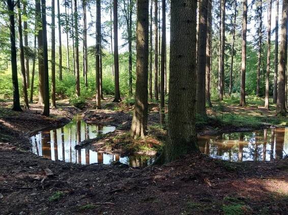 Nemojovský potok zase meandruje krajinou, v melioračních kanálech jsou tůně