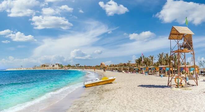 Marsa Alam: Haie als ernstznehmende Gefahr für Touristen?