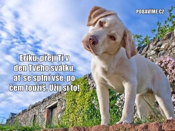 Přání k svátku pro Erika | Pobavime.cz