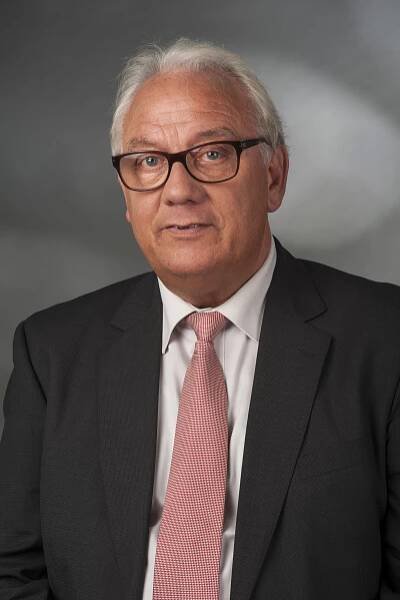 Helmut Brandt (Politiker, 1950)