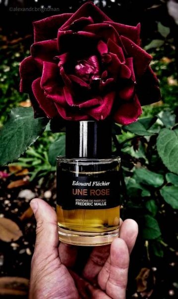 Rose Tonnerre Frederic Malle pro ženy