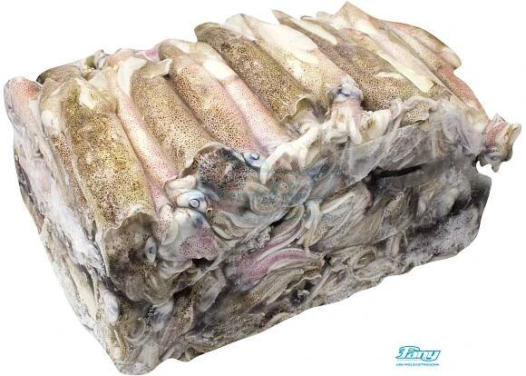 KALAMÁRY PATAGONIA NEČIŠTĚNÉ C4 5kg MRAŽENÉ