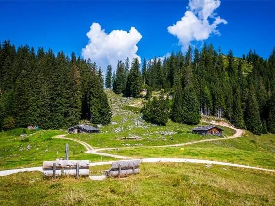 Almen – Ramsau bei Berchtesgaden Ferienwohnungen Hotels Pensionen