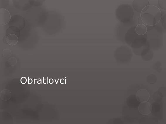 PPT - Dýchací soustava PowerPoint Presentation, free download - ID:2199462