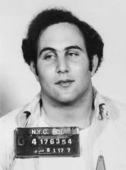 File:David Berkowitz.jpg
