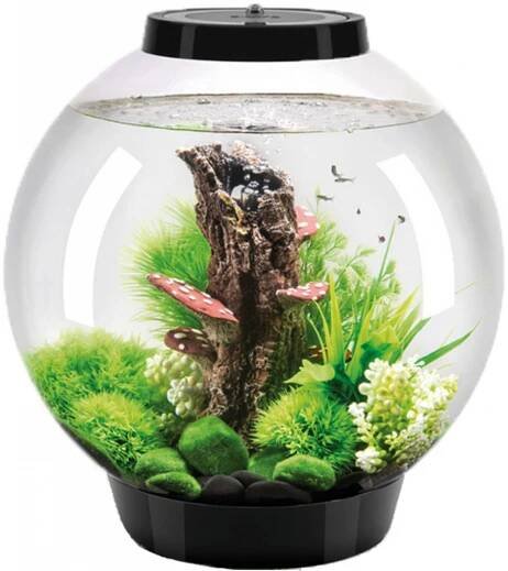 BiOrb Classic černé LED 30 l od 4 528 Kč - Heureka.cz