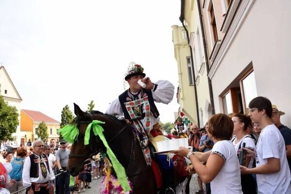 Jízda králů | Kyjovské Slovácko v pohybu